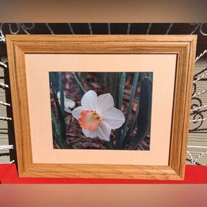 Orig Photo by the late Jackie Gardner